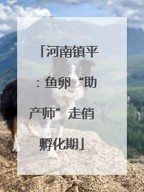 河南镇平：鱼卵“助产师”走俏孵化期